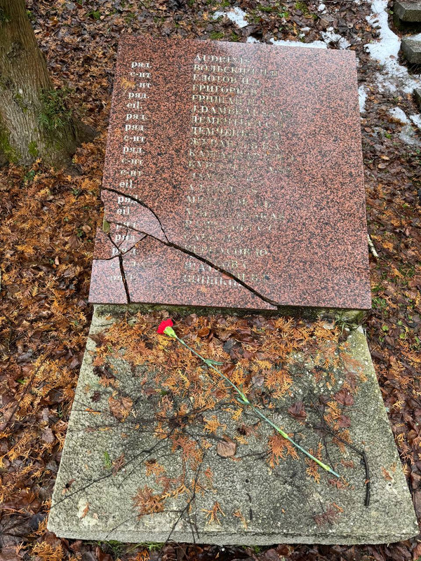 Šviežios nuotraukos iš Antakalnio kapinių