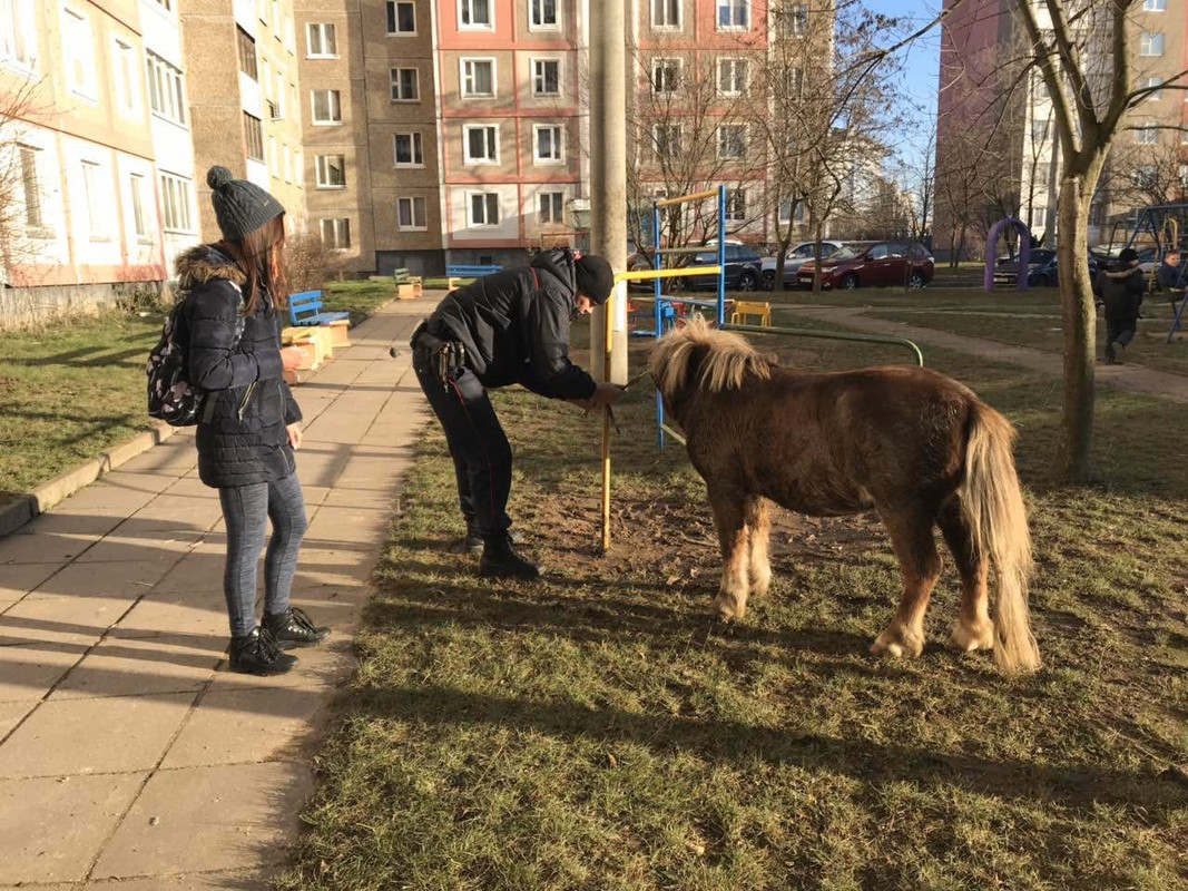 DB7A490B-AAAF-4DF6-906C-9EFF826B549E