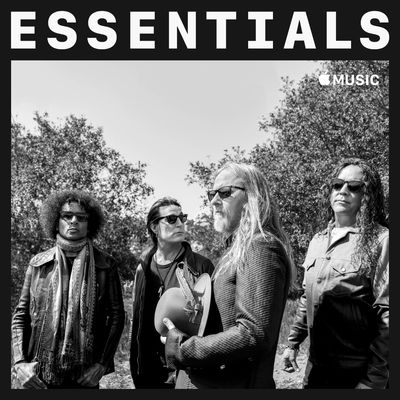 Alice In Chains - Essentials (2018) 320 KBPS
