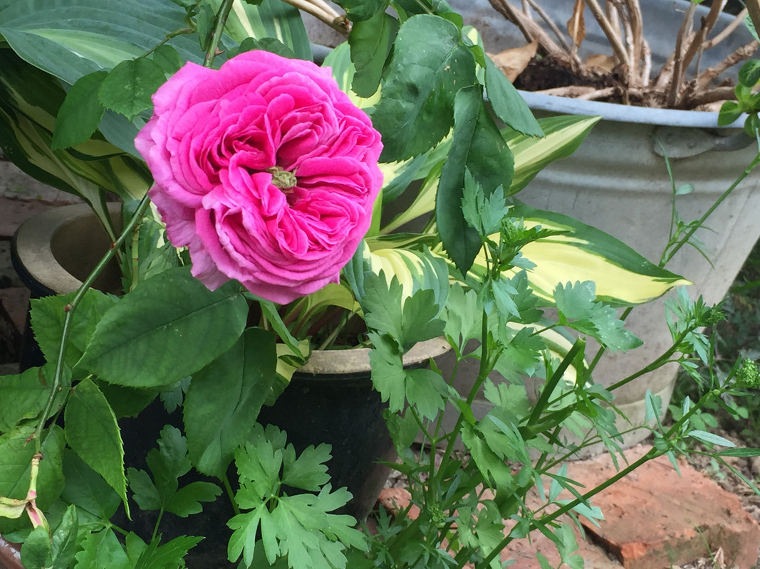 3ED10FBC-5EE4-4C6E-9648-1DC7BFCC4734