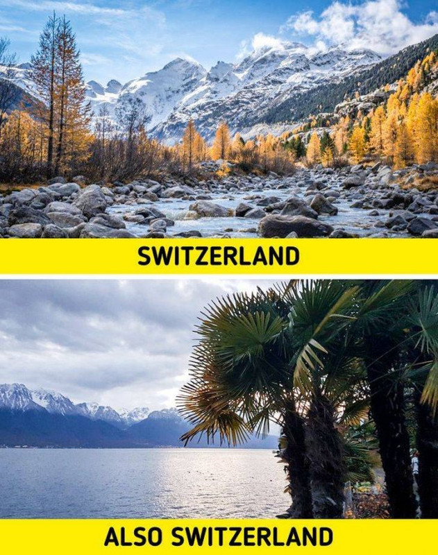 Suiza-16