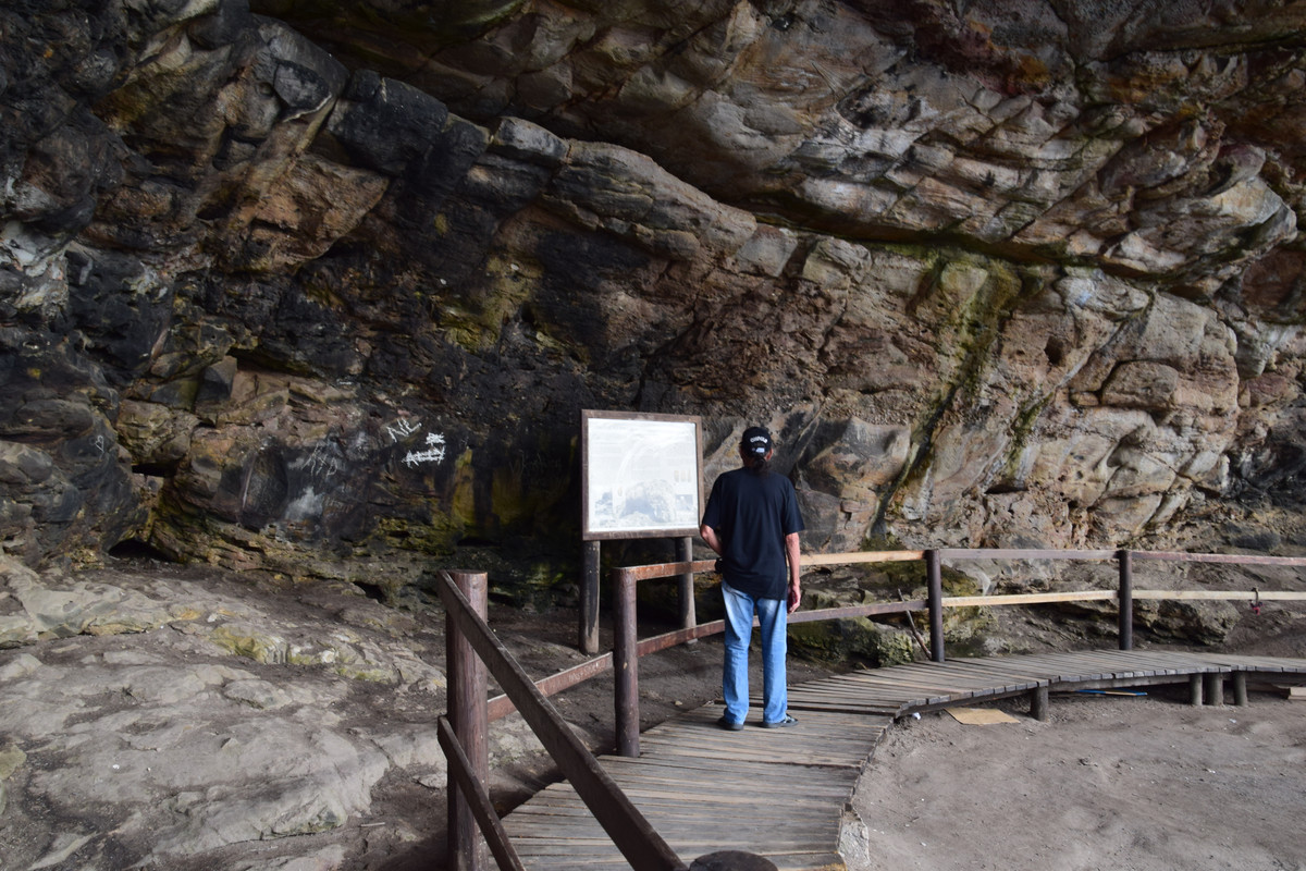 DSC_0105 (2)