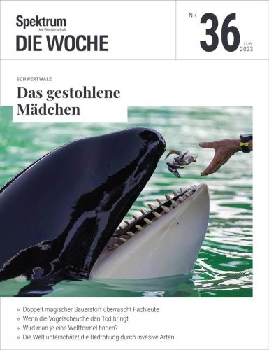 Cover: Spektrum der Wissenschaft Die Woche No 36 vom 08  September 2023