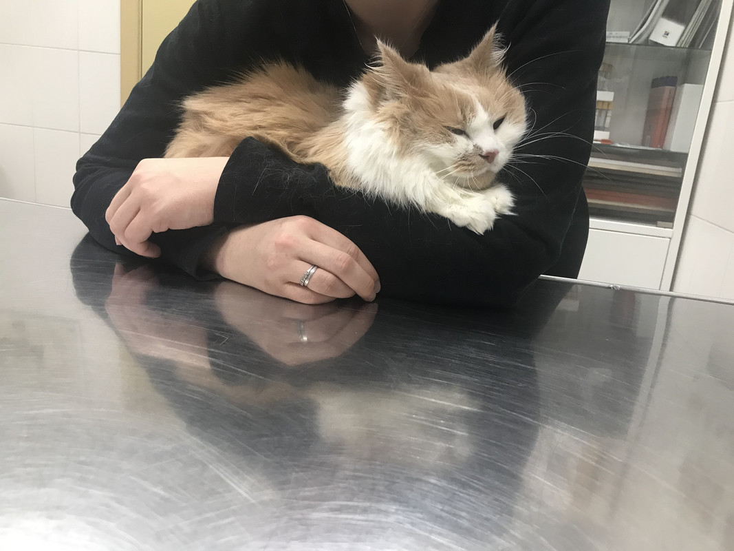 597D5687-8924-444F-894E-2B6CD4BF3792