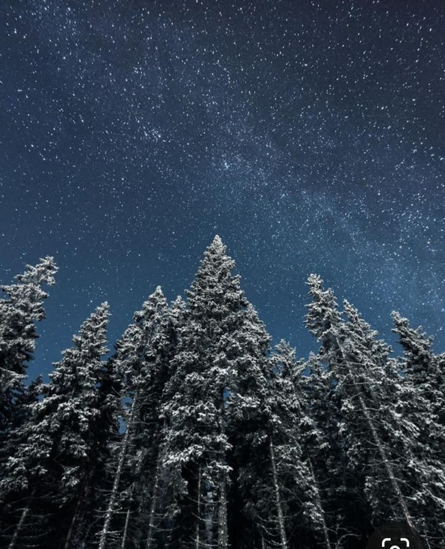 Screenshot_20231016_205342_Pinterest