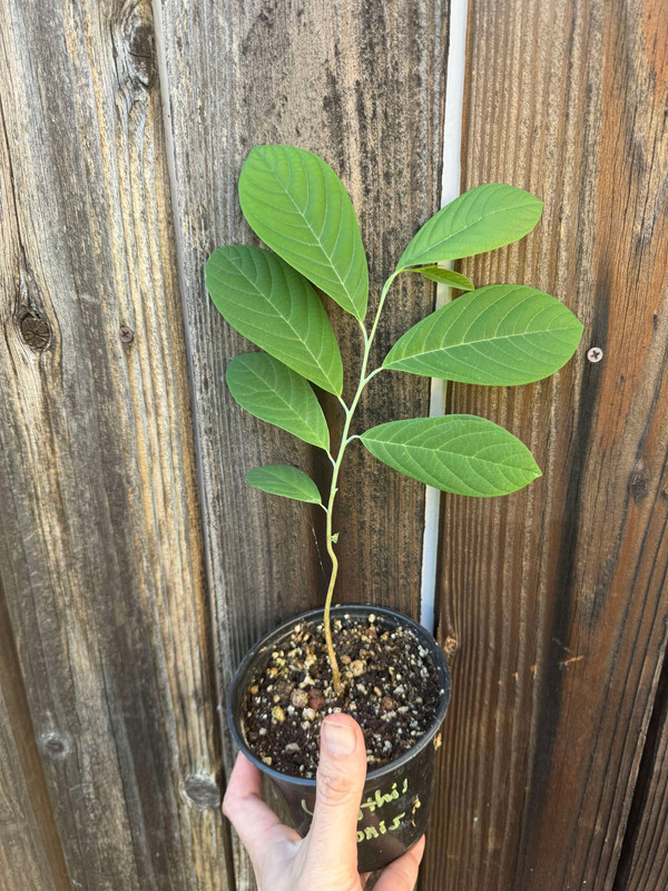 454326513_1613126915914120_8810514917086180267_n