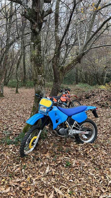 846e51d9 71bd 4f4f a0cb 991cda8479c6