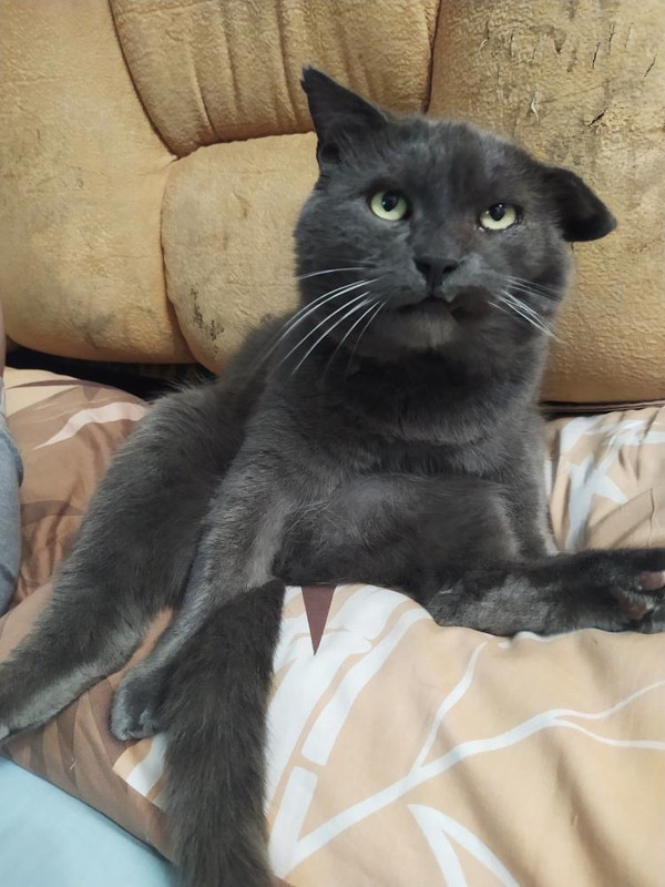 92491D74-4514-408C-9395-C8086640AEFF