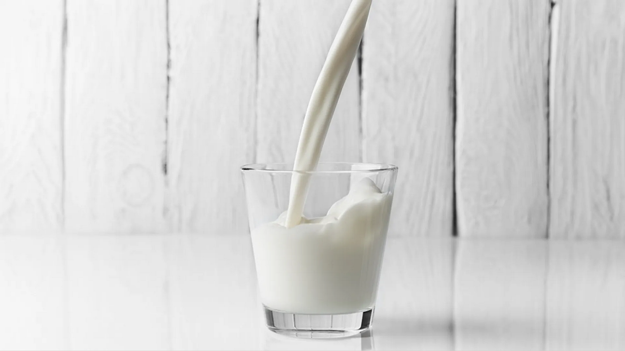 ¿Qué es la leche de cucarachas? Conoce aquí sus beneficios