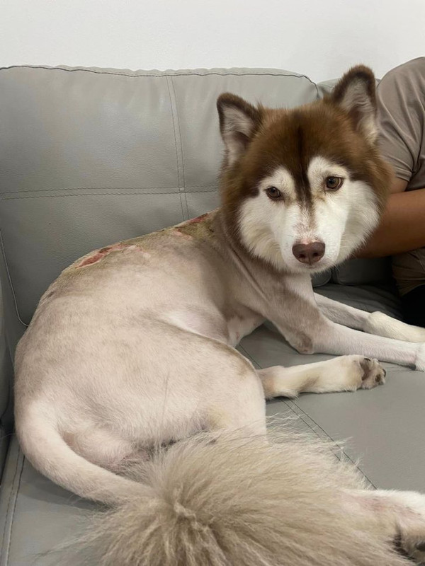 447630720-7789085641149132-55