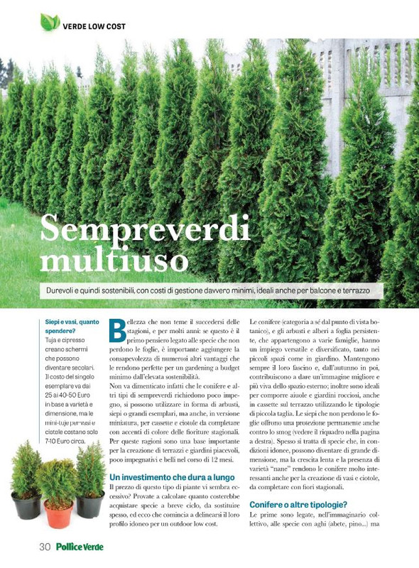 Pol Ver Set 2023 (7)