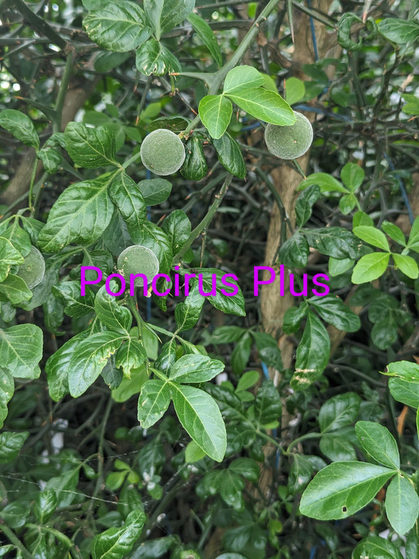 PXL_20240602_193755704~2