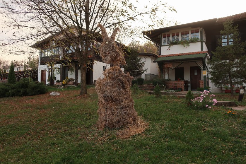 Arandjelovac2019