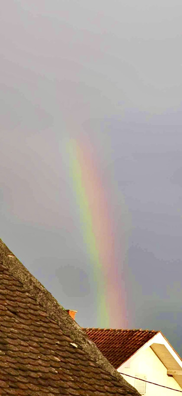 FC7F9D9A-DD0F-43B1-95E7-6FD513FA0E0A