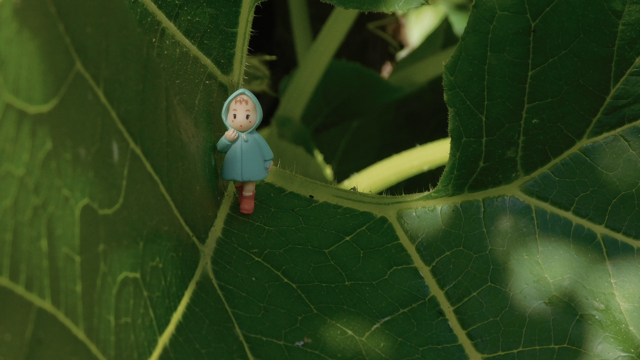 Август дачный кукольный 2023 161