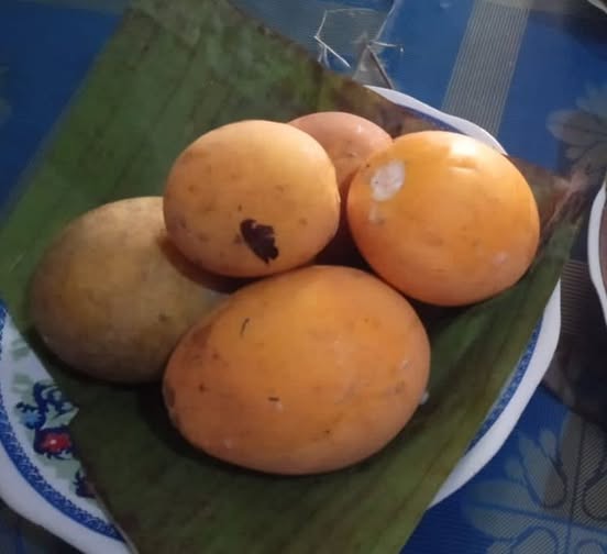 584301664 2184754508929144 6803721843533518078 n