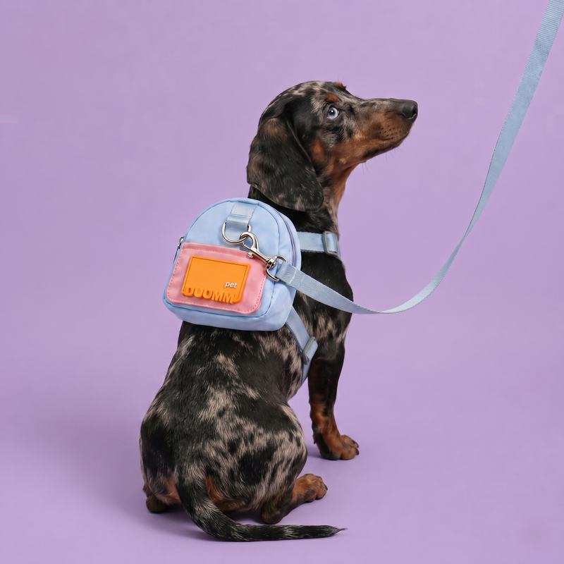 Mochila Arn&eacute;s para perros Glower Up