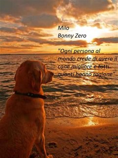 Bonny Zero - Milo (2018)