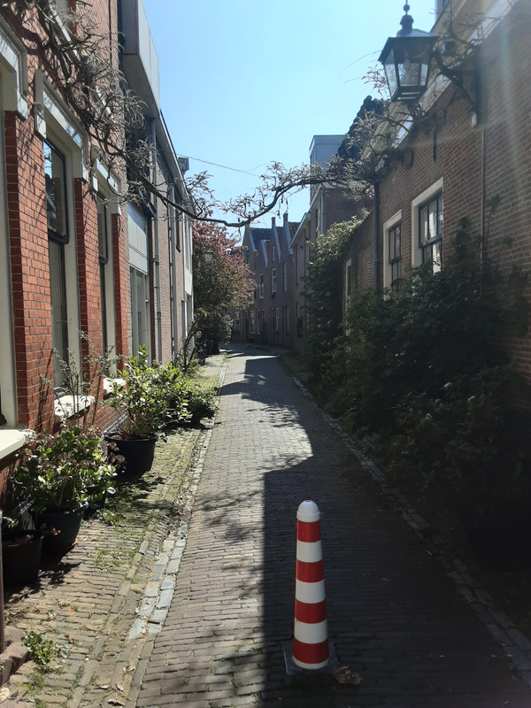20250412-114920.jpg