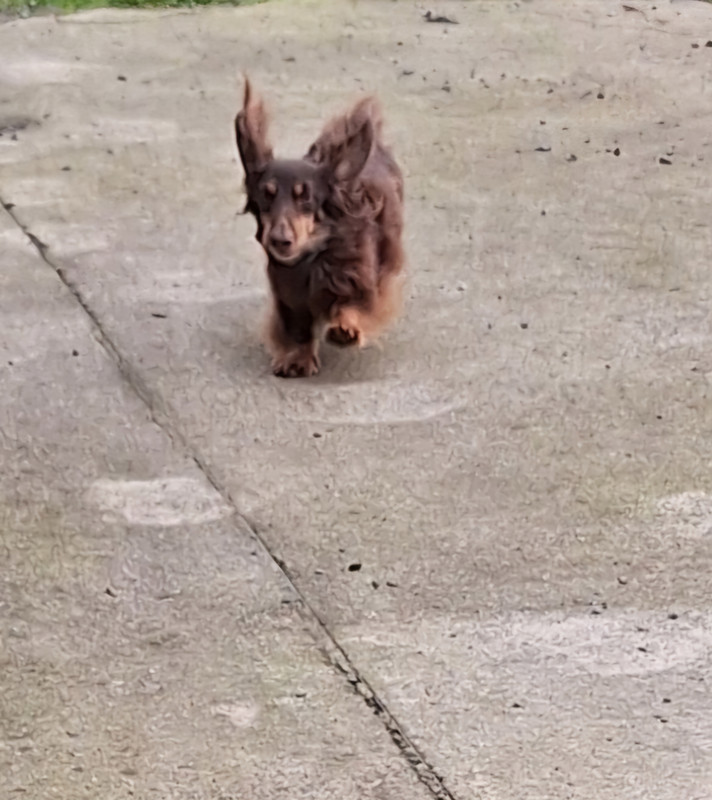 [Image: 20241220-145742.jpg]