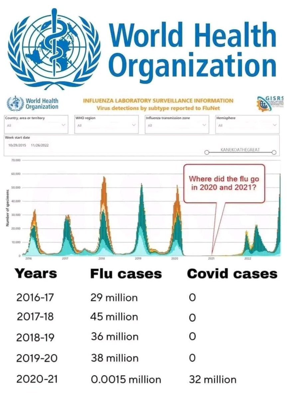 Flu vs Covid