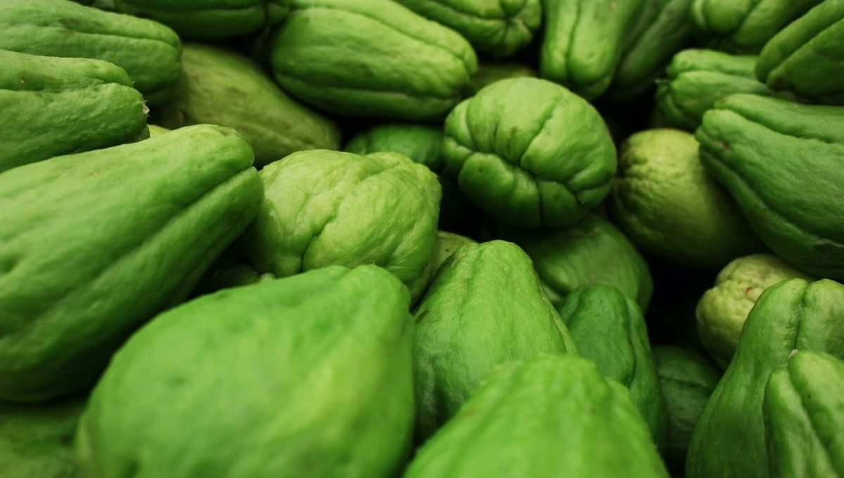 Té de chayote para bajar los niveles de colesterol