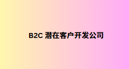 B2C 潜在客户开发公司