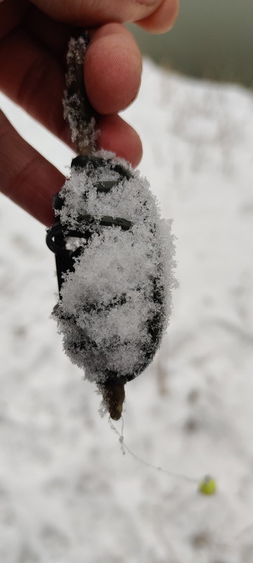 IMG_20230205_144326 (2)