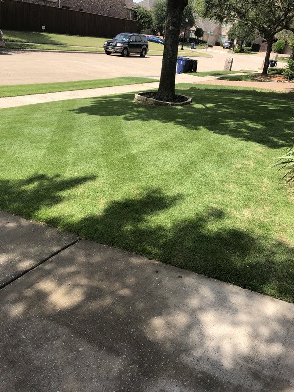 F490C976-30D5-4202-9AC0-10BDA8164779