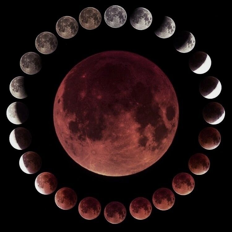 pink-moon-phases.jpg
