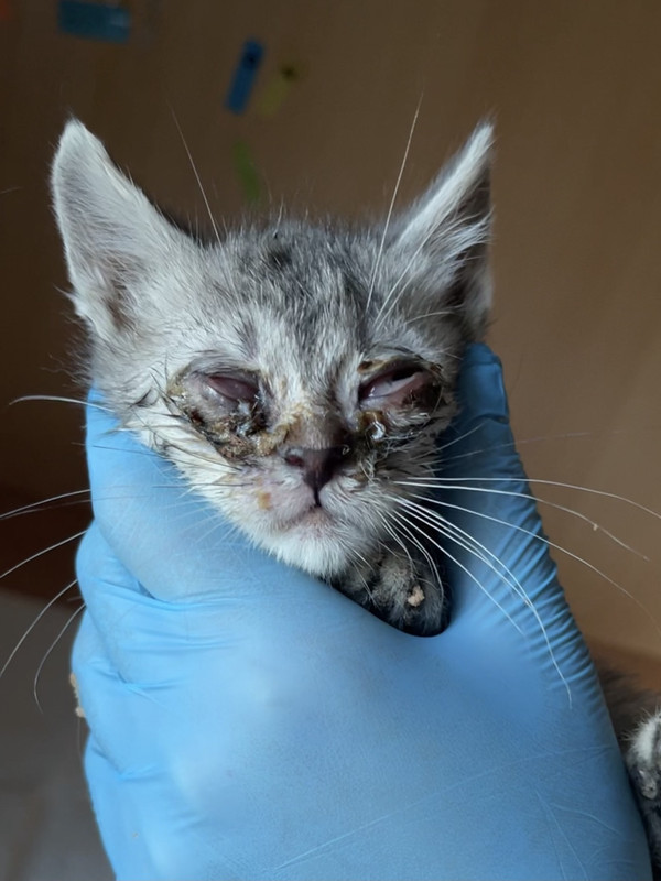 0A9262BB-A923-487E-BBE3-6ABB05E51B85