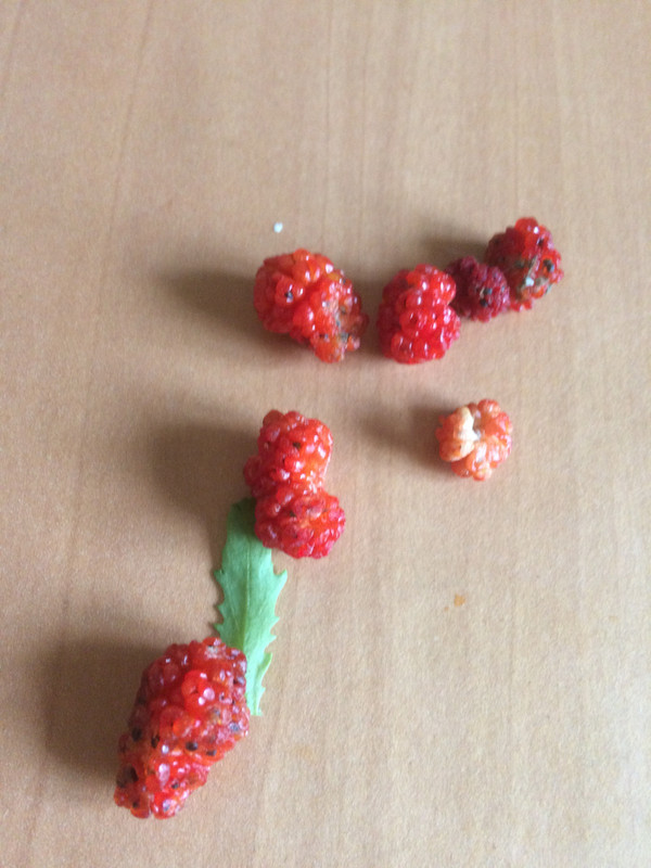 2863EA1D-5B4F-4E53-AD50-379FC8B8DD27