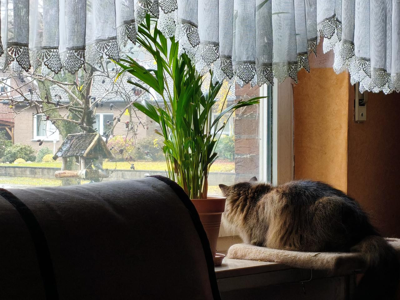 MVIMG 20251115 101051