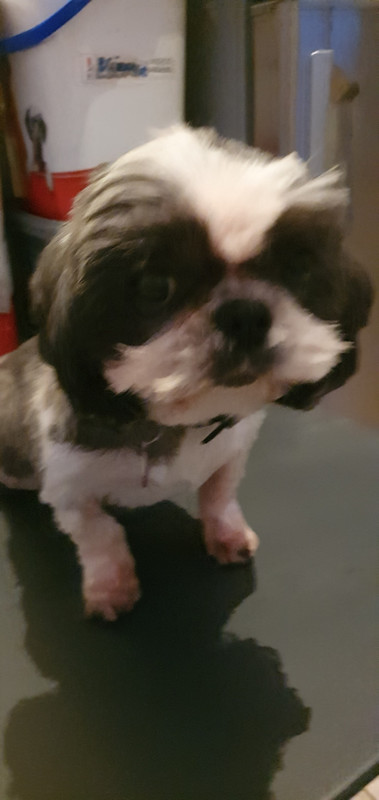 [Image: 20230316-192044.jpg]