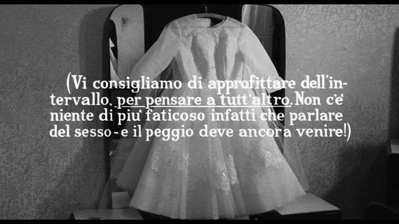 vlcsnap-2023-08-22-18h26m16s272