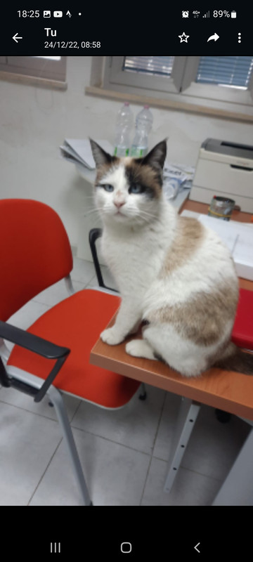 Screenshot_20230120-182515_WhatsApp