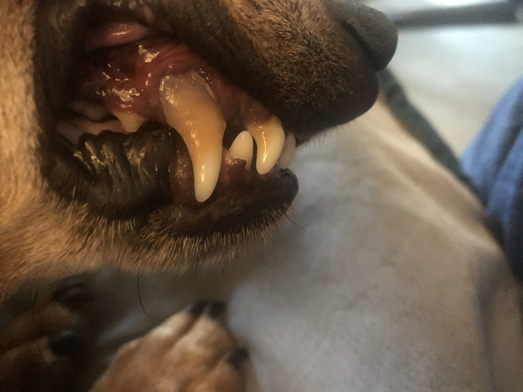 [Image: IMG-3405.jpg]