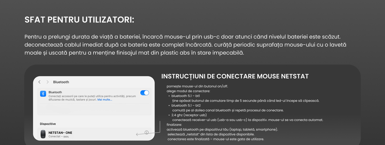 Mouse Wireless NETSTAT - design ergonomic