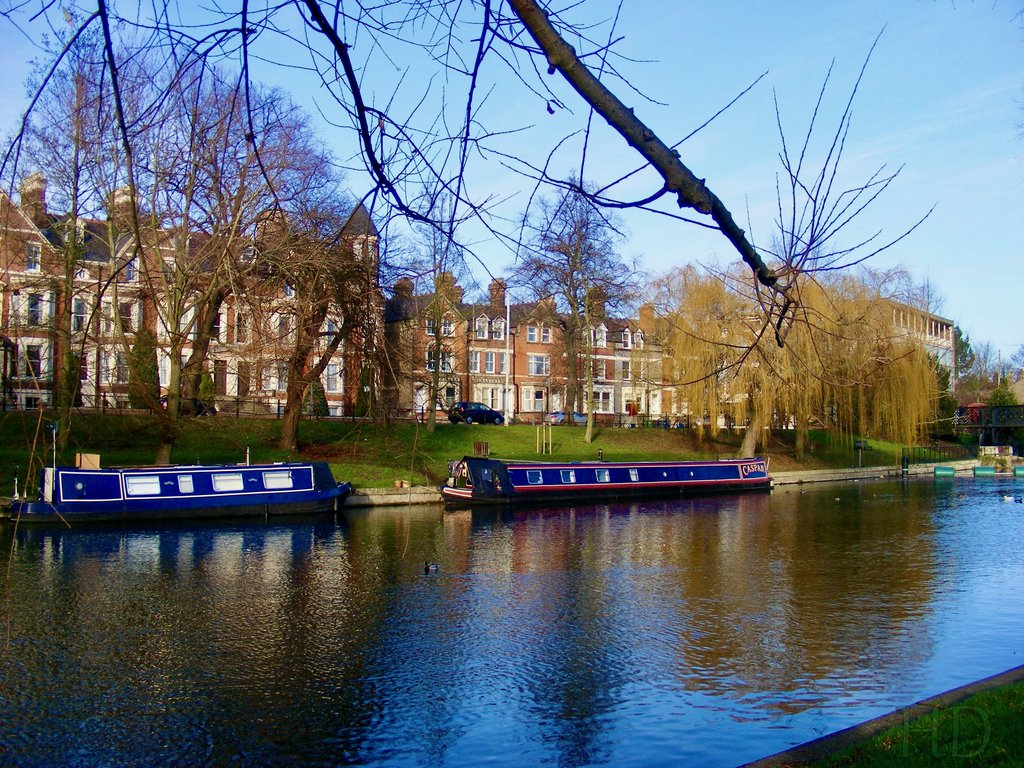 DSCF6359.jpg