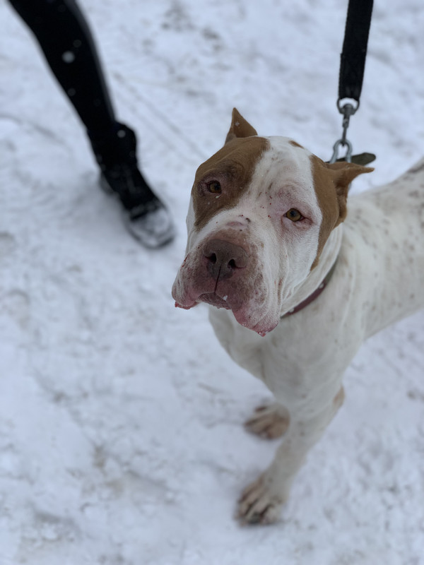 8EF39DB6-DCDF-4D20-984F-840B05A874B3