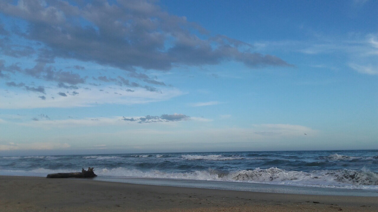 563FED1E-1B80-4924-A2D5-1D3A04ECE5DF