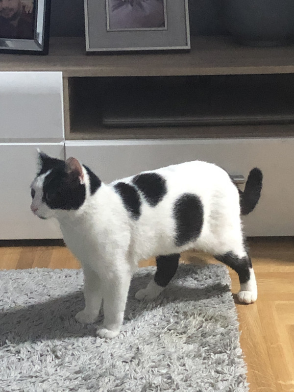 EC83DA1B-E269-481B-AAA3-A017323BCB20