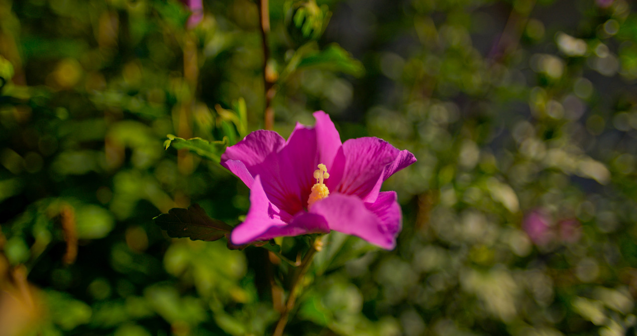 A001-09091040-C068-braw-1-2-3.jpg