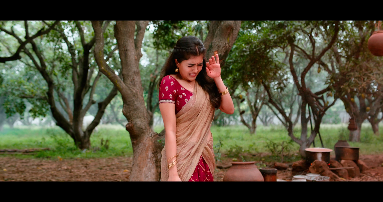 vlcsnap-2024-03-18-14h25m47s404