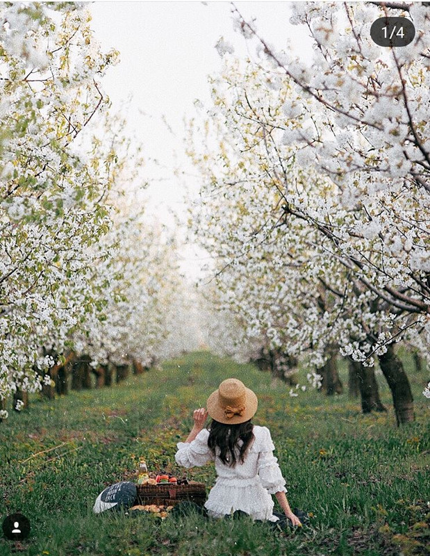 ���� ���� ������ �� ���� ������