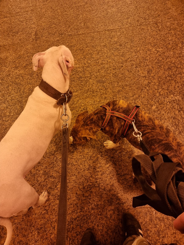 B93E7D4B-67A4-4E94-92C8-37E3D11CF5A4