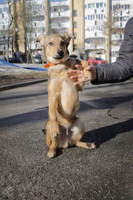 IMG-4ed4e25a2ebab455938dbf763886dba8-V