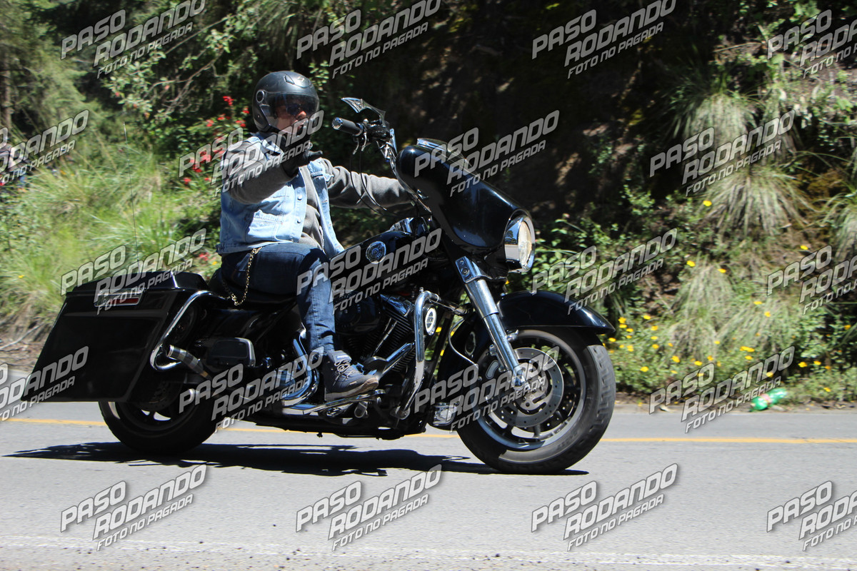 IMG 5991 wm 17877410 8 watermarked — Postimages