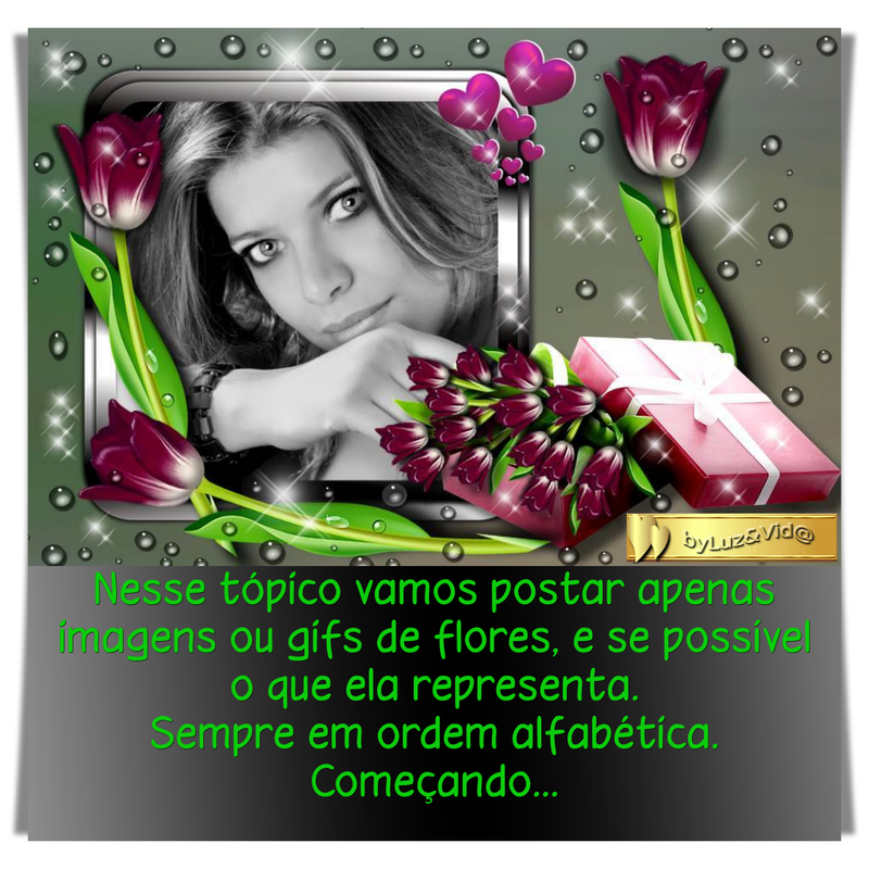 imagem-de-flores.png