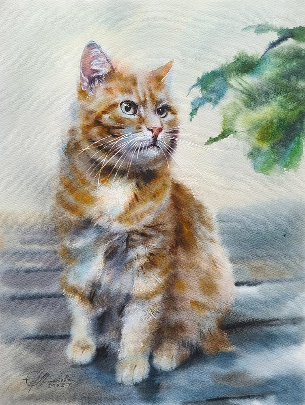 06